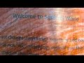 SQUIRREL WORLD SESSION
