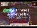 Max Buffs @ Pinkies (FlyFF)