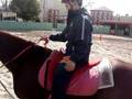 Equinoterapia videopresentacion 2008.wmv