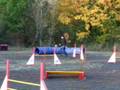 Aengus-agility