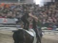 Voltigeteam De Molen K�r Saumur 2008