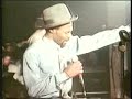 tiger spectacular video