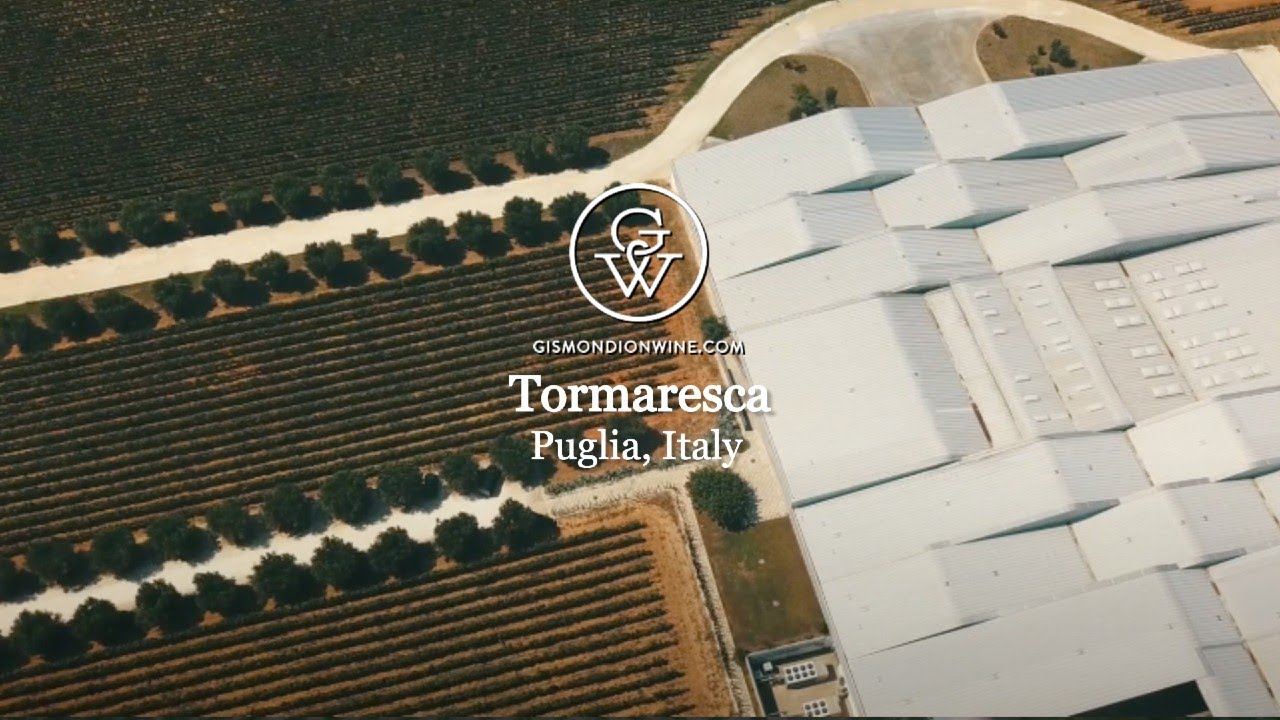 Video af smukke grønne vinmarker og vinhus fra Tormaresca i Italien