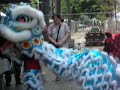 Year Lion