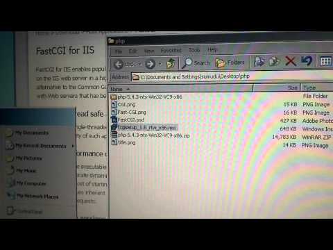 how to enable cgi in iis