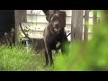 HDR-SR12 SMTH SLW REC function test (Slow-Mo)