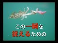 ティップラン釣法(1)