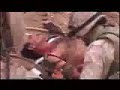 marines irak ataque bus bomba falujah