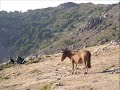 GR20 Corsica Part 1 - Kyuss, Space Cadet GR20 Corsica Part 1 - Kyuss, Space Cadet