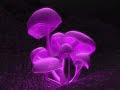 Fu Manchu - Neptune\