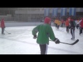 Florida Panthers Occupy Central Park III