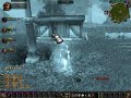 22, HOGGER RAID 22, HOGGER RAID