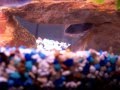Fish Room
