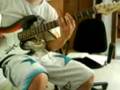videos de Dream theater covers