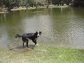 Johnny Cash learns to swim, Argentine style