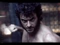 hugh jackman wild