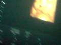 V041208_12.09.AVI