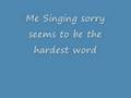 videos de Sorry seems to be the hardest word.wmv