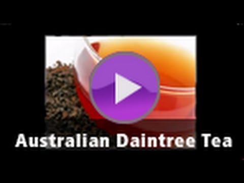 tea - Check out the Australian Daintree Tea: http://www.teas.com.au/Black_Tea-Others-Australian_Daintree.aspx?pi=1158 North Queensland's Daintree tea plantation pr...