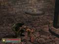 DDO DS intructional video 01 rev.2