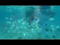 Просмотр видео