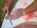How2 filet a Small Stirper