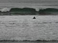Live On Duxbury Beach MA!!- www.DuxburyHomesforsale.com 781-934-2000
