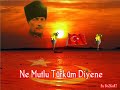 Turkun Turkusu
