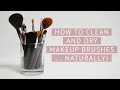 How To Clean Makeup Brushes With Virgin Olive Oil
