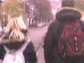 videos de Nori Nori Nori (Dodo+Lacapaca módraXD)
