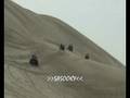 SEALINE 2008