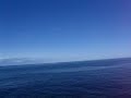 Whale watch1
