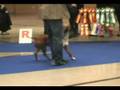 videos de Sitting Bull Defender Hammer Sign - Sweden January 2008