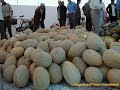 GUZAL TURKESTAN 2