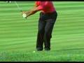 Tiger Woods Chip Shot Slo-Mo