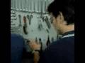 Sabato Pomeriggio Tavernicolo con PG,M8,MACI,LUCAUS 1