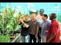 Purdue sorghum researcher wins World Food Prize