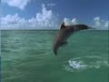 Save Shri Ram setu disk 1 Save Shri Ram setu disk 1