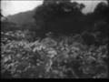Cueva de Los Tayos - The Crespi Expedition - Los Invencibles