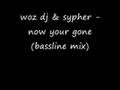 woz dj & sypher - now your gone (bassline mix)