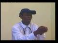 Agya Koo