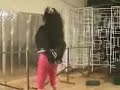 la terremoto con loli