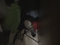 Human Feces