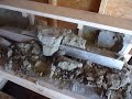 Casting Gingery Lathe Bed & Headstock Foot