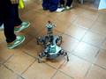 CORA Open House 4 Legged Walking Robot