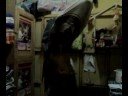 Girls Kiss Girls (Jantisoy Version)