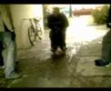 BSAL- Mein Pferd und ich BSAL- Mein Pferd und ich