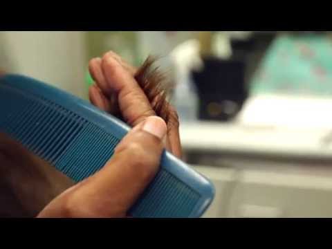 how to avoid split ends