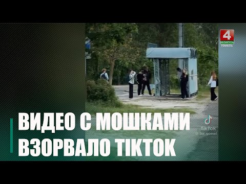 З-за нашэсця машкары гамяльчане ламаюць галінкі дрэў. За гэта можна атрымаць штраф у 1200 рублёў видео