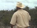 VENADO QUE SE FUE SEGUNDA PARTE VENADO QUE SE FUE SEGUNDA PARTE